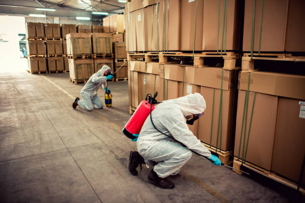 Professional Pest Control in Bowling Green, MO