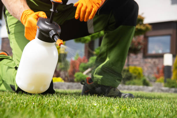 Best Pest Removal Services  in Bowling Green, MO