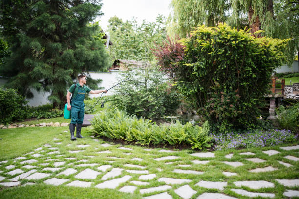 Best Pest Control Near Me  in Bowling Green, MO