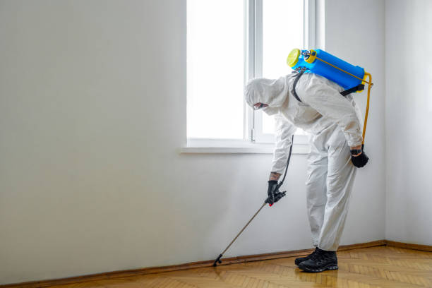 Best Pest Control for Businesses  in Bowling Green, MO