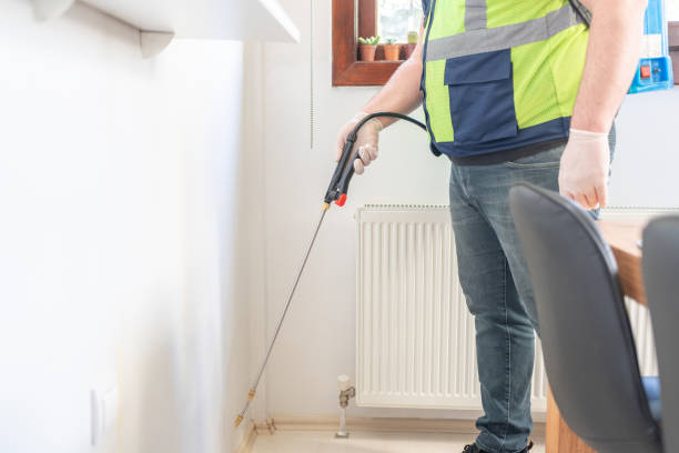 Best Pest Inspection Near Me  in Bowling Green, MO