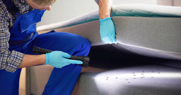 Best Affordable Pest Control Services  in Bowling Green, MO