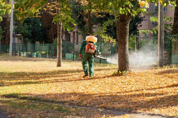 Best Spider Control Near Me  in Bowling Green, MO