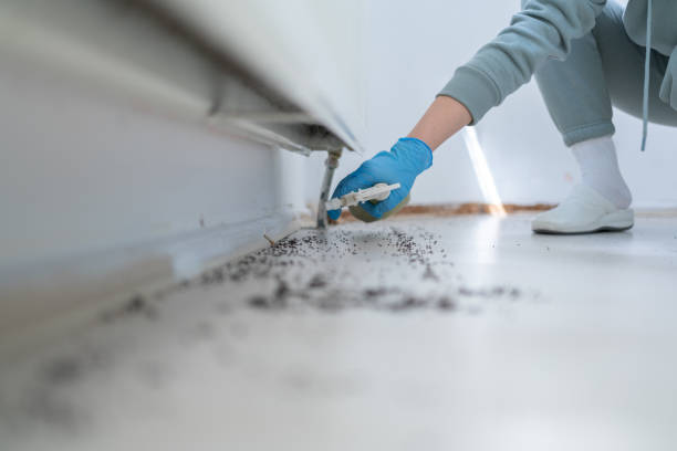 Best Best Pest Control Companies  in Bowling Green, MO